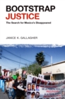Bootstrap Justice : The Search for Mexico's Disappeared - eBook