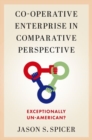 Co-operative Enterprise in Comparative Perspective : Exceptionally Un-American? - Book