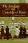 The Crucible of Race : Black-White Relations in the American South since Emancipation - eBook
