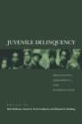 Juvenile Delinquency : Prevention, Assessment, and Intervention - eBook