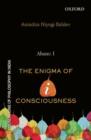 Aham:I : The Enigma of I-consciousness - Book