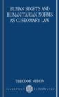 Human Rights and Humanitarian Norms as Customary Law - Book