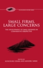 Small Firms, Large Concerns : The Development of Small Business in Comparative Perspective - Book