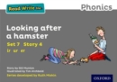 Read Write Inc. Phonics: Looking After a Hamster (Grey Set 7 Storybook 4) - Book
