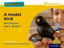 Read Write Inc. Phonics: A Model Bird (Yellow Set 5 Non-fiction 4) - Book