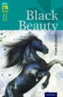 Oxford Reading Tree TreeTops Classics: Level 16: Black Beauty - Book