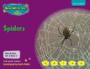 Read Write Inc. Phonics: Non-fiction Set 2 (Purple): Spiders - Book