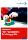 Numicon: Firm Foundations Teaching Guide - Book