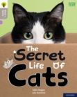 Oxford Reading Tree Word Sparks: Level 1: The Secret Life of Cats - Book