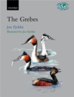 The Grebes : Podicipedidae - Book