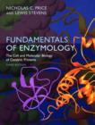 Fundamentals of Enzymology : Cell and Molecular Biology of Catalytic Proteins - Book
