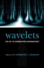 Wavelets: the Key to Intermittent Information? - Book