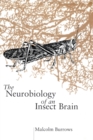 The Neurobiology of an Insect Brain - Book