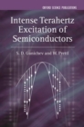 Intense Terahertz Excitation of Semiconductors - Book