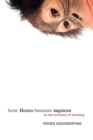 How Homo Became Sapiens : On the evolution of thinking - Book