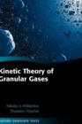 Kinetic Theory of Granular Gases - Book