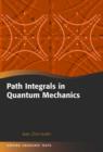 Path Integrals in Quantum Mechanics - Book