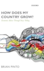 How Does My Country Grow? : Economic Advice Through Story-Telling - Book
