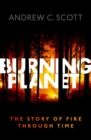 Burning Planet : The Story of Fire Through Time - Book