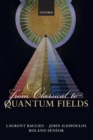 From Classical to Quantum Fields - Book