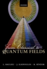 From Classical to Quantum Fields - Book
