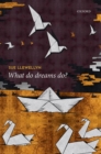 What Do Dreams Do? - Book