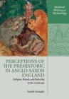 Perceptions of the Prehistoric in Anglo-Saxon England : Religion, Ritual, and Rulership in the Landscape - Book