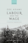 Labour and the Wage : A Critical Perspective - Book