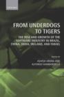 From Underdogs to Tigers : The Rise and Growth of the Software Industry in Brazil, China, India, Ireland, and Israel - Book