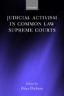 Judicial Activism in Common Law Supreme Courts - Book