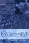 The Environment Between Theory and Practice - Book