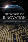 Networks of Innovation : Change and Meaning in the Age of the Internet - Book