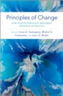 Principles of Change : How Psychotherapists Implement Research in Practice - eBook