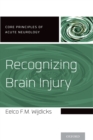 Recognizing Brain Injury - eBook
