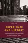 Experience and History : Phenomenological Perspectives on the Historical World - Book