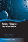 Kinetic Theory of Granular Gases - Book