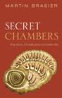 Secret Chambers : The inside story of cells and complex life - Book