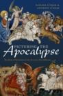 Picturing the Apocalypse : The Book of Revelation in the Arts over Two Millennia - Book