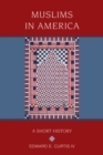 Muslims in America : A Short History - eBook
