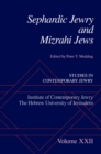Sephardic Jewry and Mizrahi Jews : Volume XXII - eBook