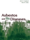 Asbestos and its Diseases - eBook