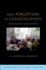 From Perception to Consciousness : Searching with Anne Treisman - Book