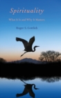 Spirituality : What It Is and Why It Matters - Book