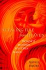 Stealing Fire from Heaven : The Rise of Modern Western Magic - Book