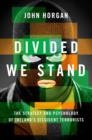 Divided We Stand : The Strategy and Psychology of Ireland's Dissident Terrorists - Book