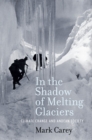 In the Shadow of Melting Glaciers : Climate Change and Andean Society - eBook