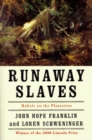 Runaway Slaves : Rebels on the Plantation - eBook