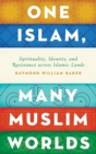 One Islam, Many Muslim Worlds : Spirituality, Identity, and Resistance across Islamic lands - Book
