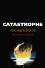 Catastrophe : Risk and Response - eBook