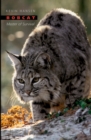 Bobcat : Master of Survival - eBook